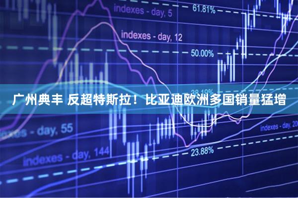 广州典丰 反超特斯拉！比亚迪欧洲多国销量猛增