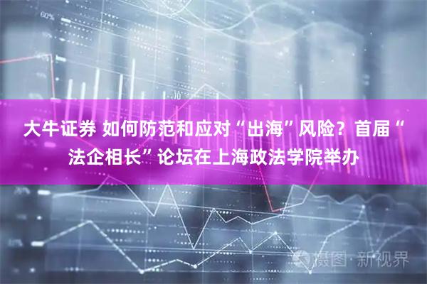 大牛证券 如何防范和应对“出海”风险？首届“法企相长”论坛在上海政法学院举办