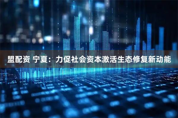 盟配资 宁夏：力促社会资本激活生态修复新动能