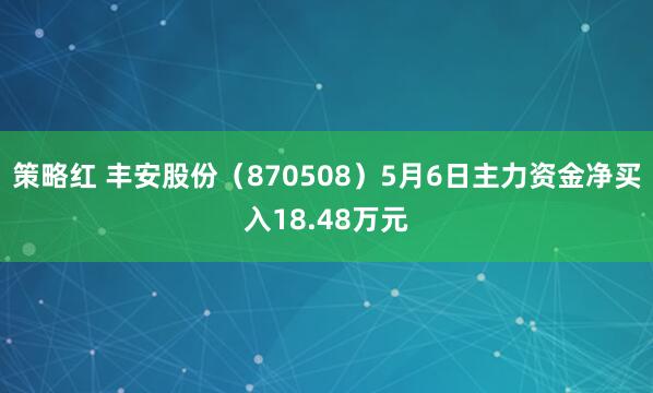 策略红 丰安股份（870508）5月6日主力资金净买入18.48万元