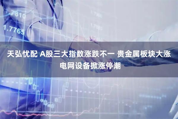 天弘忧配 A股三大指数涨跌不一 贵金属板块大涨 电网设备掀涨停潮