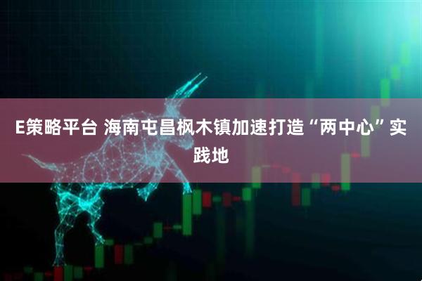 E策略平台 海南屯昌枫木镇加速打造“两中心”实践地