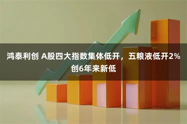 鸿泰利创 A股四大指数集体低开，五粮液低开2%创6年来新低